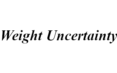 Weight Uncertainty